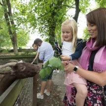 Family enjoying animal interaction at hotel petting zoo under lush green trees, enhancing guest experience.
