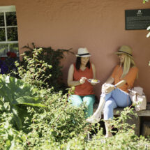Guests enjoying sunny garden seating at pink-walled hotel with lush greenery.