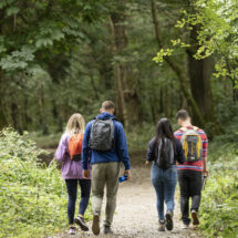 Guests enjoy a scenic woodland walk on our guided nature trail, surrounded by lush greenery and tranquil forest views.