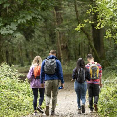 Guests enjoy a scenic woodland walk on our guided nature trail, surrounded by lush greenery and tranquil forest views.