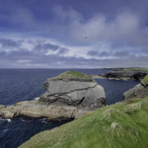 Scenic coastal view with dramatic cliffs and vibrant green grass overlooking the blue ocean under a clear sky.