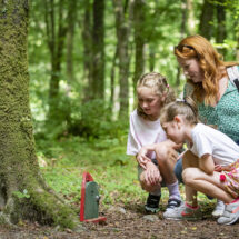 Family exploring magical woodland with tree fairy door, sunlight filtering through lush greenery for a fun, enchanting stay.