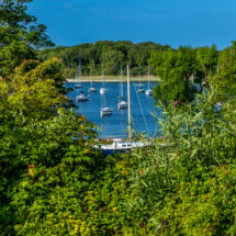 Serene coastal view with yachts docked, lush greenery, perfect for relaxation at beachfront hotel.