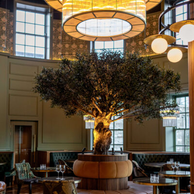 Stylish hotel lounge with tree centrepiece, elegant lighting, plush seating, and vintage décor for a luxurious stay.