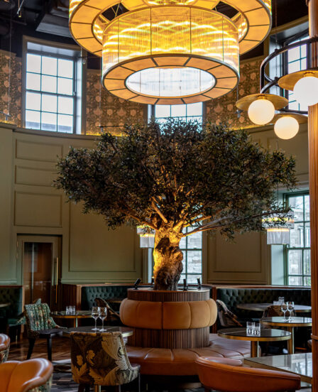 Elegant hotel lobby with central olive tree, warm lighting, plush seating, and stylish décor, offering a welcoming ambience.