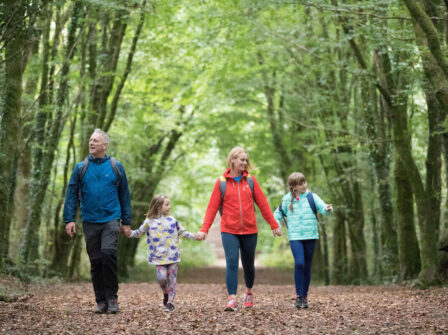 Family enjoying peaceful forest walk, surrounded by lush green trees. Perfect for nature-loving hotel guests.