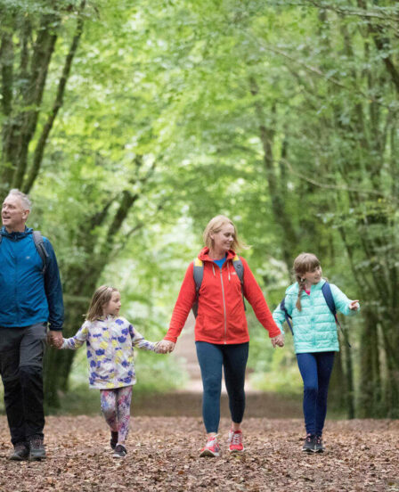 Family enjoying peaceful forest walk, surrounded by lush green trees. Perfect for nature-loving hotel guests.